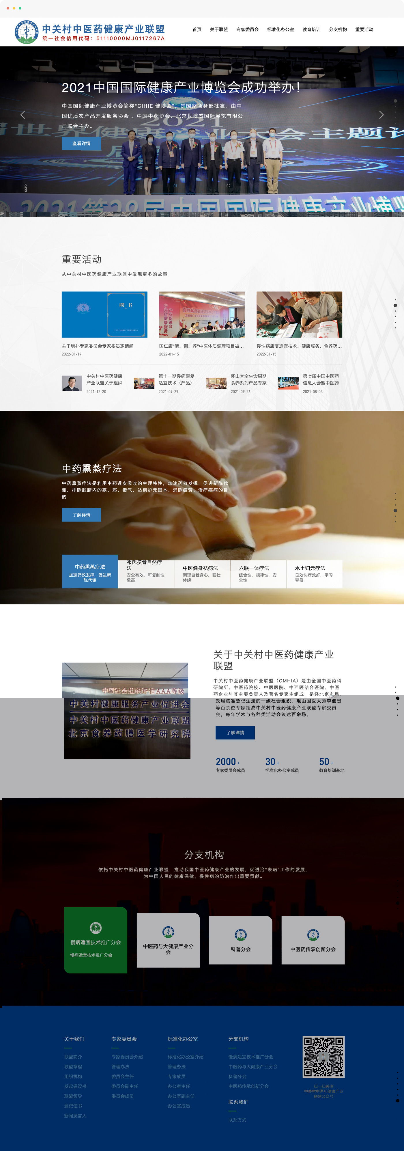 中医药网站建设